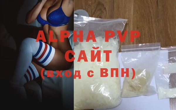 прущие грибы Бронницы