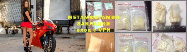 прущие грибы Бронницы
