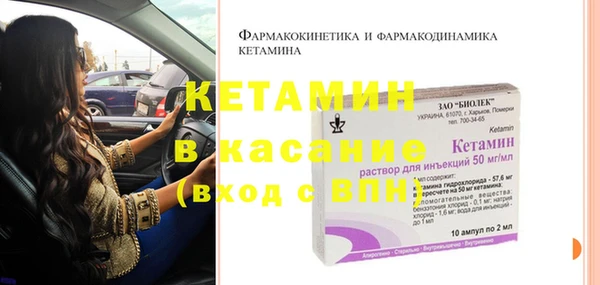 прущие грибы Бронницы