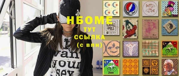 прущие грибы Бронницы