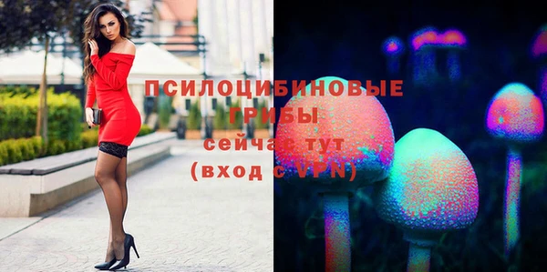 прущие грибы Бронницы