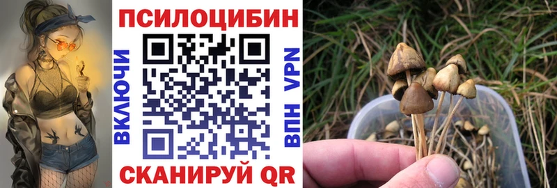 Псилоцибиновые грибы MAGIC MUSHROOMS  Купить  Динская 